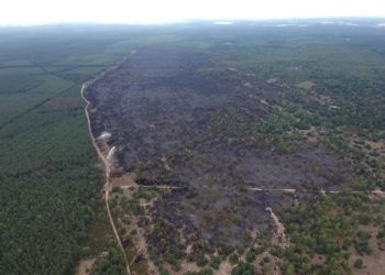 Waldbrand in der Lieberoser Heide ist gelöscht