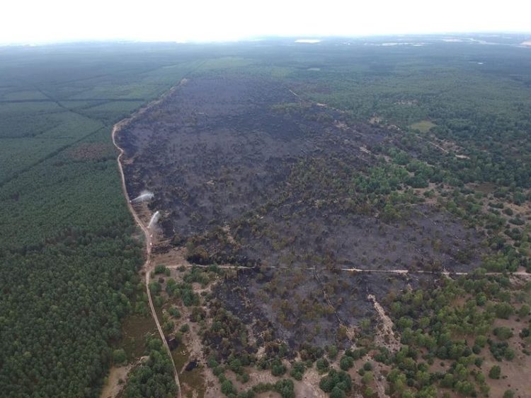 Waldbrand in der Lieberoser Heide ist gelöscht