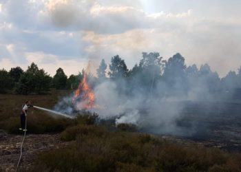 Landkreis Elbe-Elster