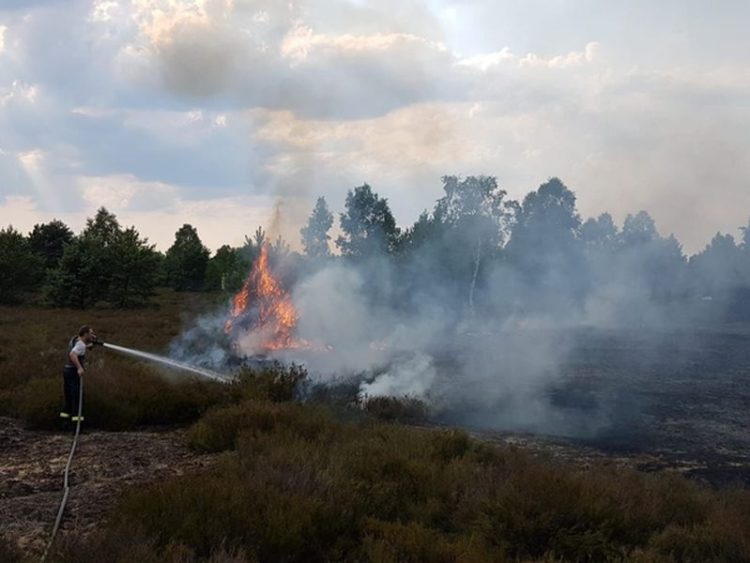 Landkreis Elbe-Elster