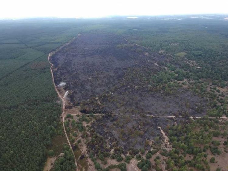 Feuer in der Lieberoser Heide flammt wieder auf