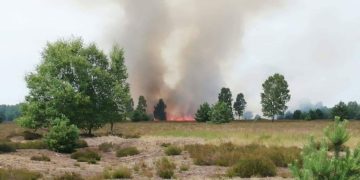 Brand in Lieberoser Heide am vergangenen Donnerstag