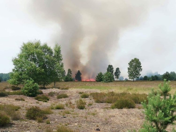 Brand in Lieberoser Heide am vergangenen Donnerstag
