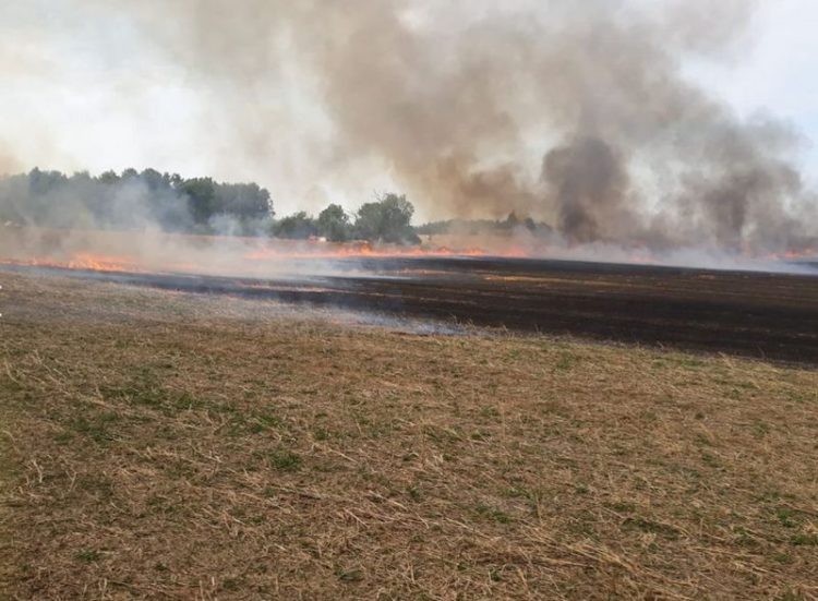 Strohballenpresse bei Hohenbucko fängt Feuer. 6.000qm Getreidefeld abgebrannt