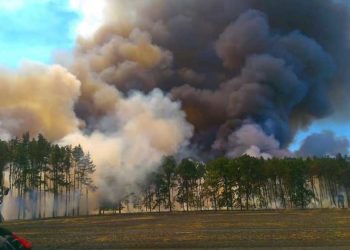 Feuewehr Falkenberg Elster