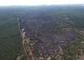 Luftbild nach Waldbrand Lieberoser Heide 2018
