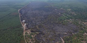 Luftbild nach Waldbrand Lieberoser Heide 2018