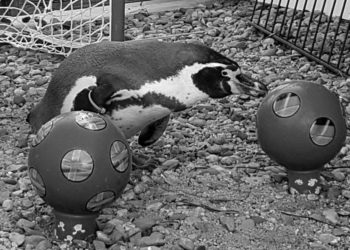 Spreeweltenbad Lübbenau