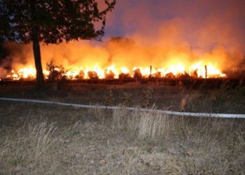 Foto: Blaulichtreport Elbe-Elster