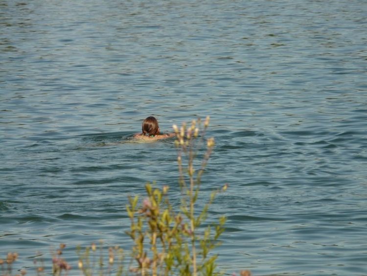 Dahme-Spreewald: Warnung vor Blaualgen in Badegewässern