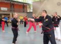 SÕ-GÕ-BUDÕ-TAIKAI  - 14. Budo-Bundeszentral-Seminar-Ost der IMAF in Cottbus