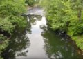 Wasserknappheit: Spree-Neiße erlässt Entnahmeverbot entlang der Spree