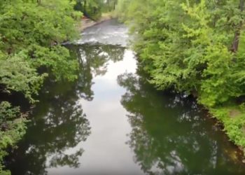 Wasserknappheit: Spree-Neiße erlässt Entnahmeverbot entlang der Spree