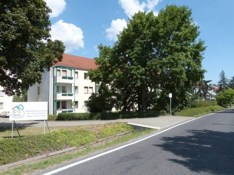 Ortrander Wohnungsgenossenschaften im Blickpunkt