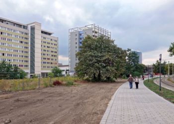Verkehrsclub und ProTramCottbus fordern Verkehrswende in der Stadt