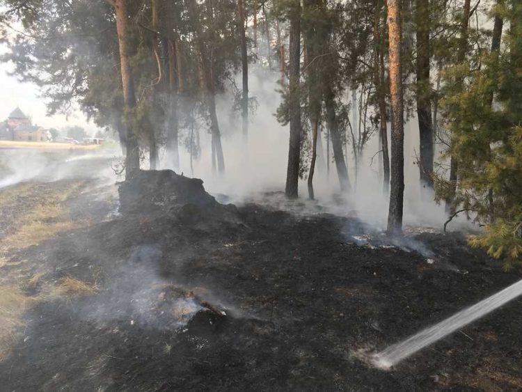 11 Millionen Euro Schaden durch 430 Waldbrände in Brandenburg