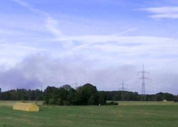 Brandstiftung vermutet. Feuer in der Lieberoser Heide lodert weiter