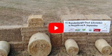 Neuzelle Erntefest