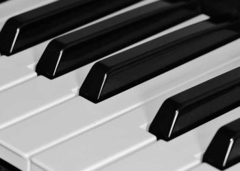 Finsterwalder Kulturfreunde wollen Konzertflügel unabhängig vom Stadthallenbau