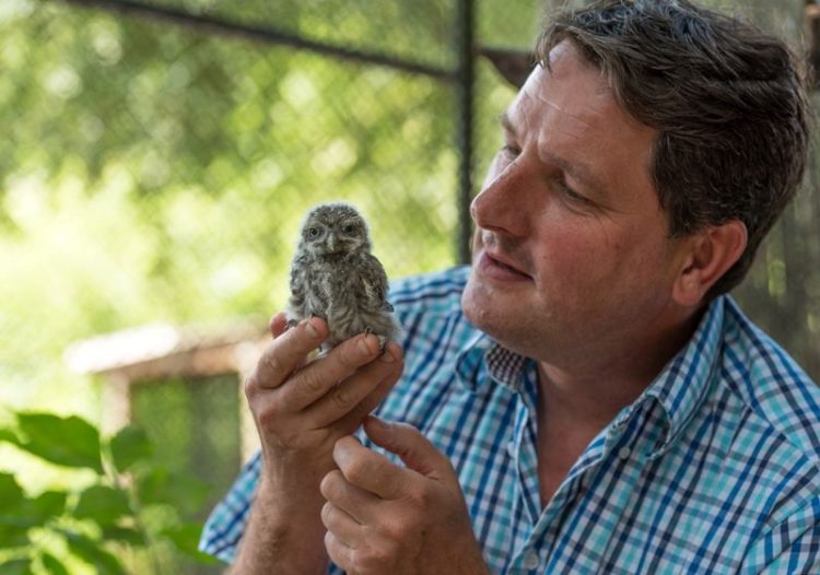 Zoo Hoyerswerda wildert Steinkauz aus