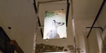Fotoausstellung bringt 400 Euro für Cottbuser Wildtierauffangstation