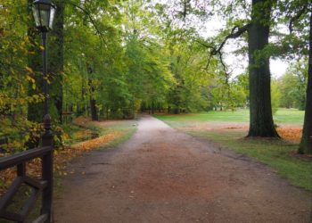 Aleksandra Dubanowska