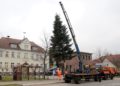 Kolkwitzer Weihnachtsbaum wurde aufgestellt