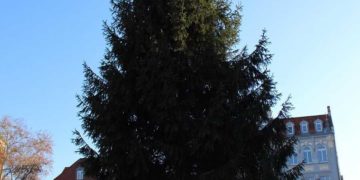 Stadt Senftenberg