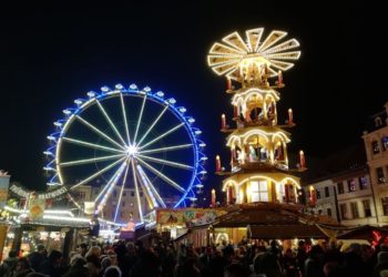 Tannen vom Cottbuser Weihnachtsmarkt werden verschenkt