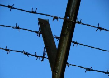 Weniger verurteilte Jugendliche in der Region