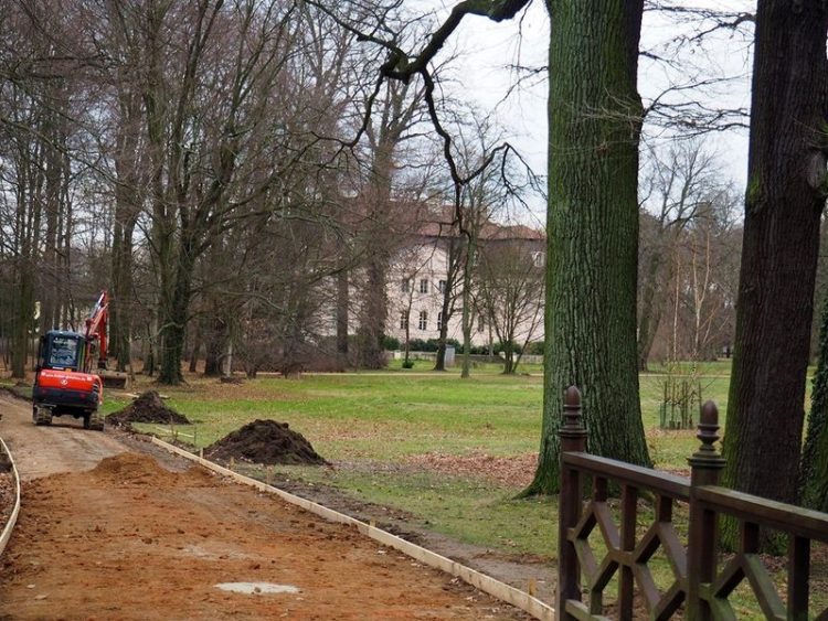 Wegesperrungen Branitzer Park