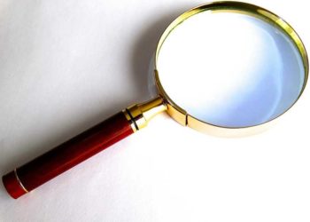 Prüffall AfD. Brandenburgs Innenminister will Verbindungen untersuchen lassen