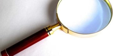 Prüffall AfD. Brandenburgs Innenminister will Verbindungen untersuchen lassen