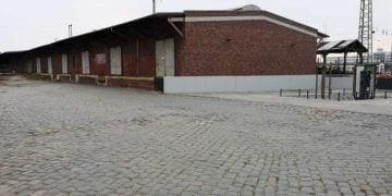 Neues Zuhause für Cottbuser Club Scandale?