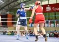 3. Cottbuser Ostsee-Cup im Boxen