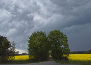 ©Hans Bach, Potsdam