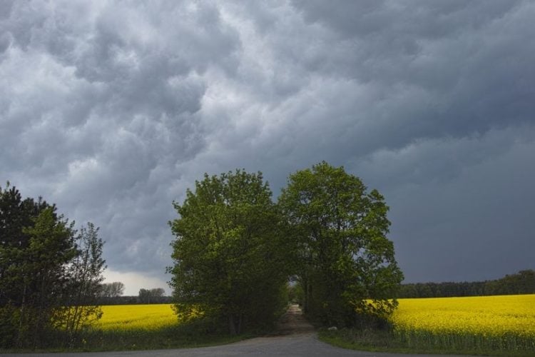 ©Hans Bach, Potsdam