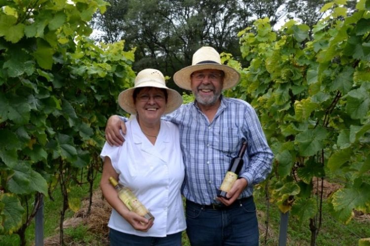 "Bester Wein dieses Jahrzehnts" Jungweinprobe für Cottbuser Wein