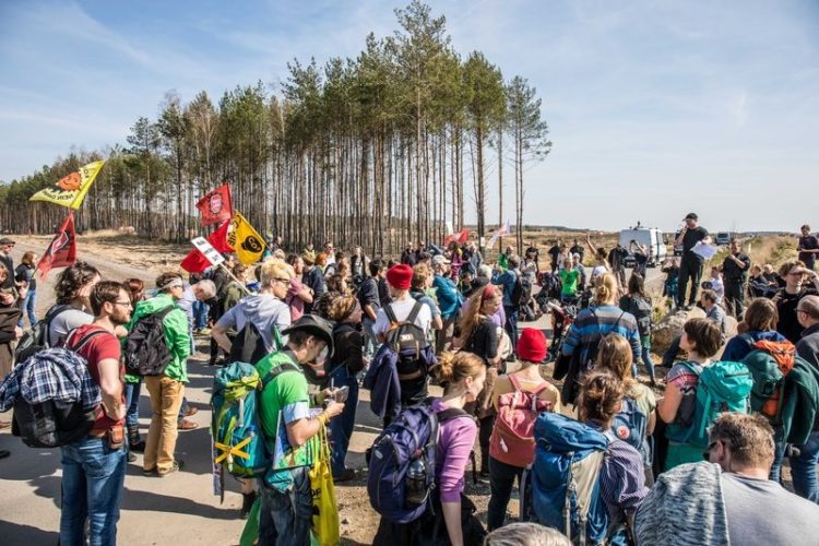 250 Menschen nehmen an Waldspaziergang entlang des Tagebaus Jänschwalde teil