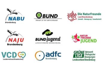 Umweltverbände im Wahljahr: Klimaschutz, Landwirtschaft & Verkehrswende
