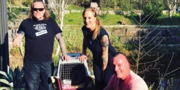 Cottbuser Katzen-Opi Casper kommt bei BoehseOnkelz Sänger Kevin Russell unter