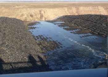 Flutungslauf (im Flutungszustand) Cottbuser Ostsee