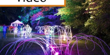 Nachts im Tierpark