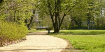 Sanierung abgeschlossen. Wege im Branitzer Park wieder freigegeben