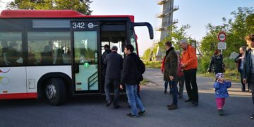 Vorbild Pücklerlinie. Förderverein fordert Busverbindung zum Cottbuser Ostsee