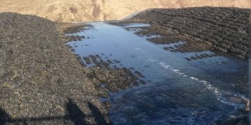 Flutungslauf Cottbuser Ostsee