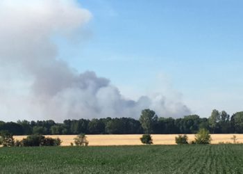 Großbrand in der Lieberoser Heide noch außer Kontrolle. 70 Hektar betroffen