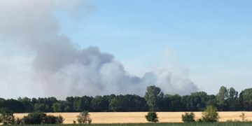 Großbrand in der Lieberoser Heide noch außer Kontrolle. 70 Hektar betroffen