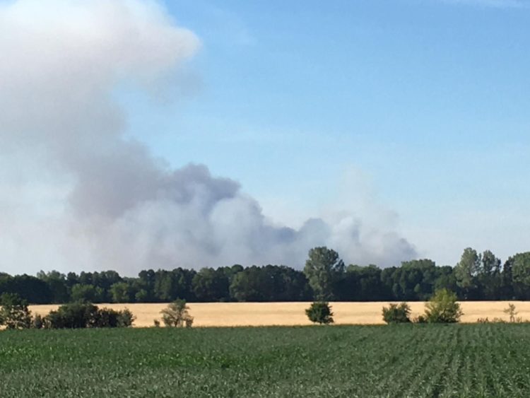 Großbrand in der Lieberoser Heide noch außer Kontrolle. 70 Hektar betroffen