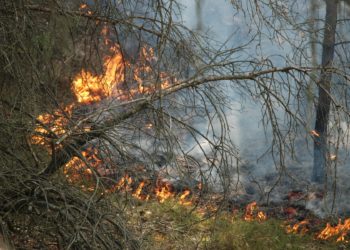 Landkreis Teltow-Fläming
